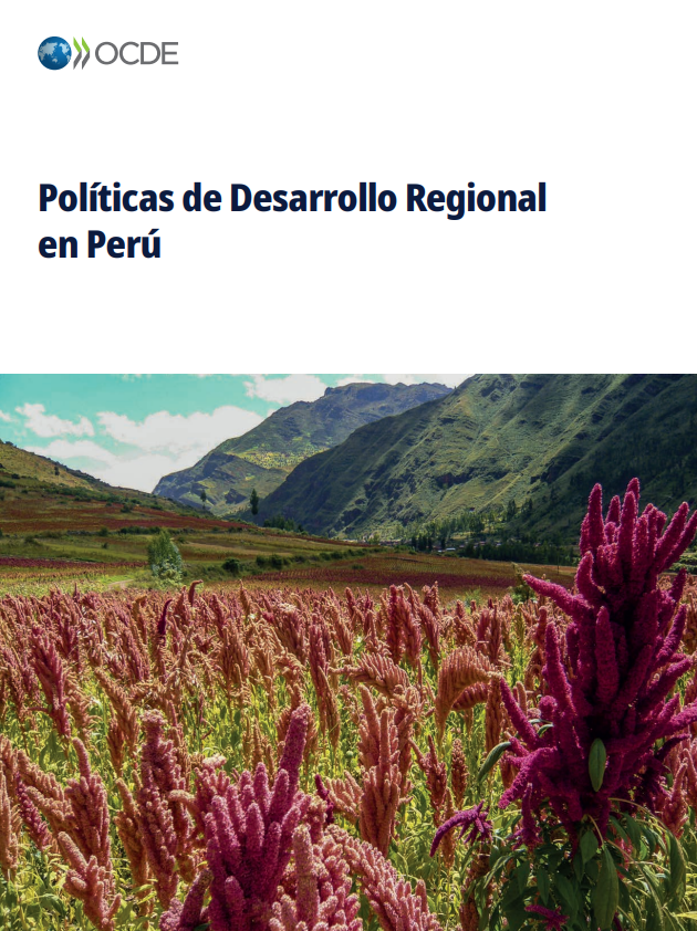 Informe de adhesión del Comité de Desarrollo Regional