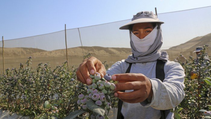 Ejecutivo reafirma compromiso para avanzar en adhesión del Perú a la OCDE