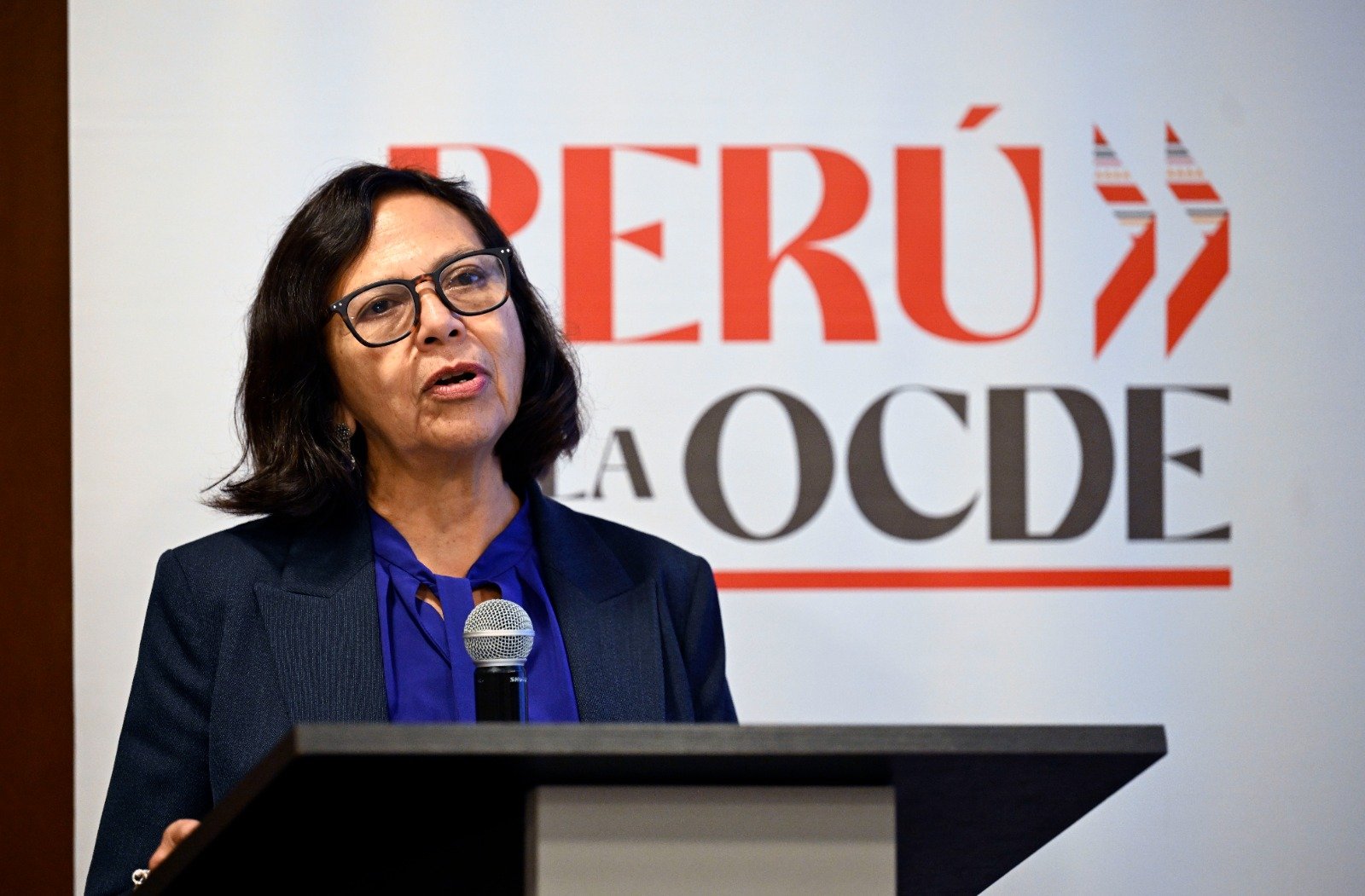 Conversatorio “El sector empresarial como aliado del proceso de adhesión a la OCDE: la experiencia de Costa Rica” - Imagen 1