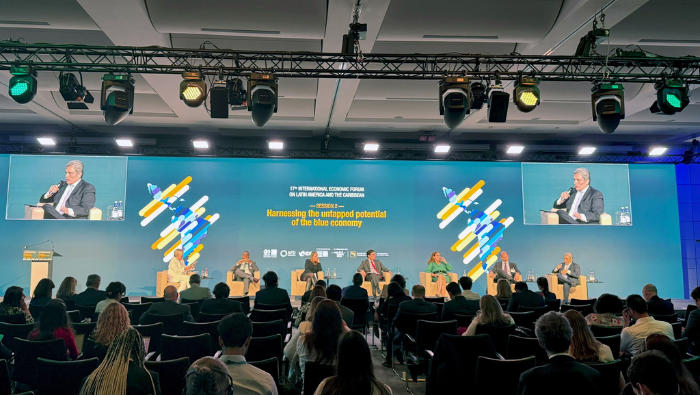 El MEF presenta la estrategia peruana para impulsar inversiones sostenibles ante la OCDE