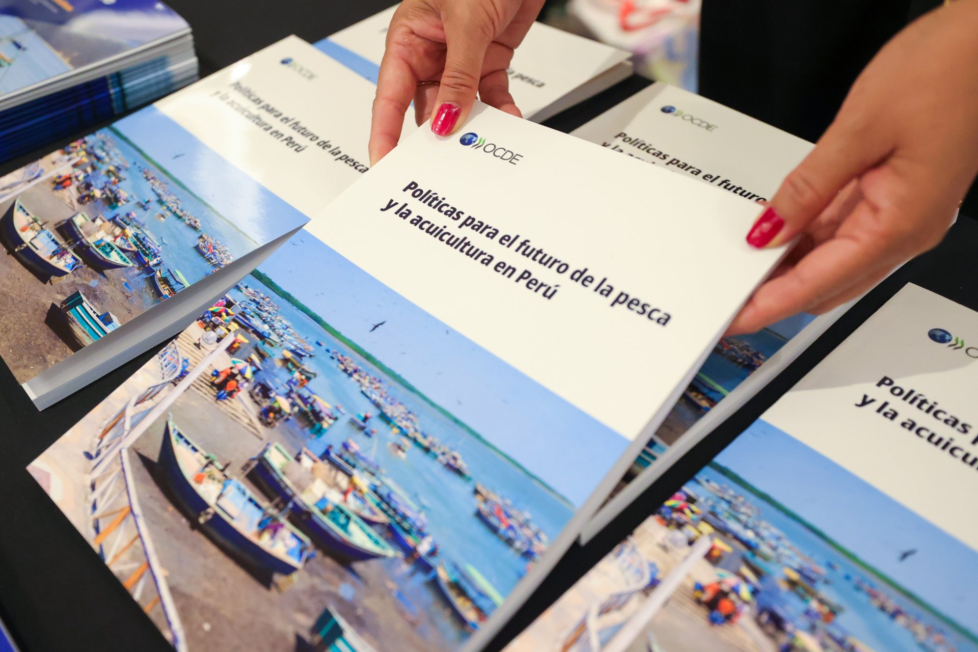 Presentación del informe “Políticas para el futuro de la pesca y la acuicultura en el Perú”