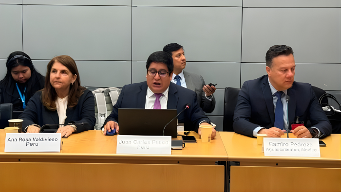 Perú presenta ante la OCDE resultados concretos en reforma regulatoria